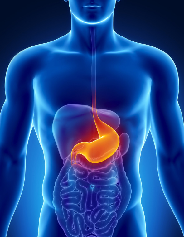 Cirurgia bariátrica e metabólica